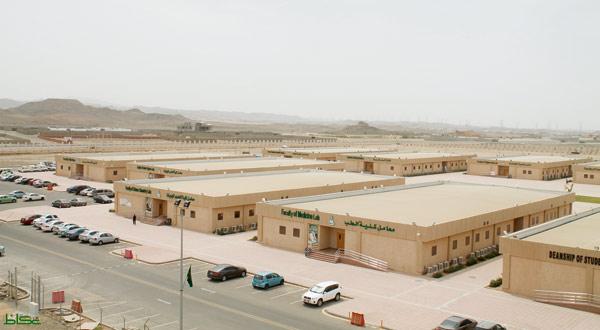 جامعة جده