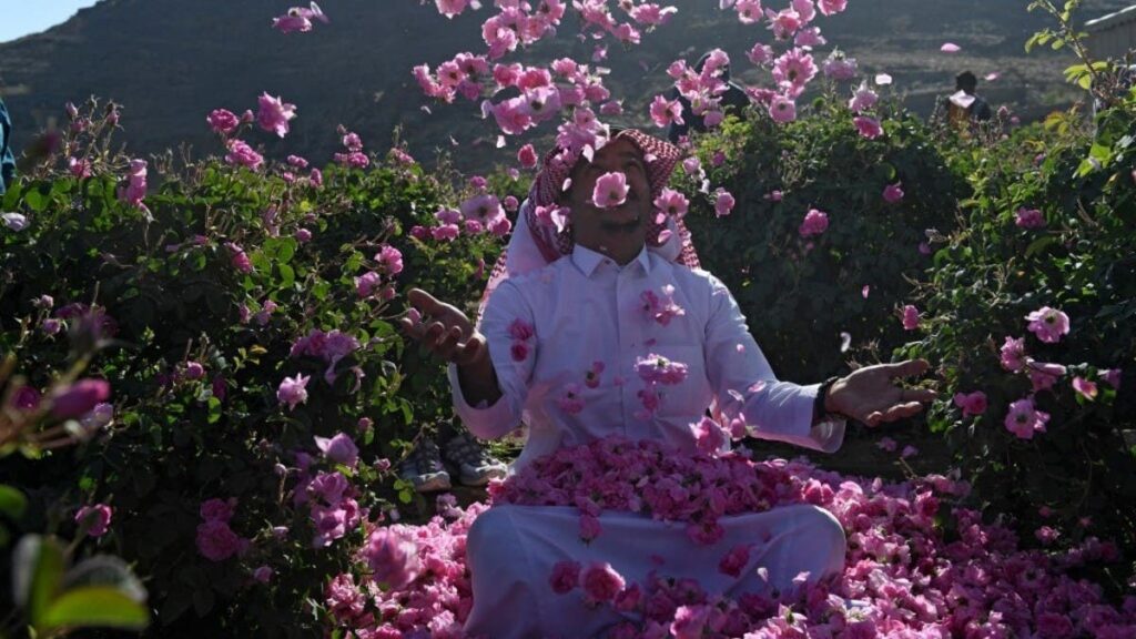 موسم الورود بمدينة الطائف