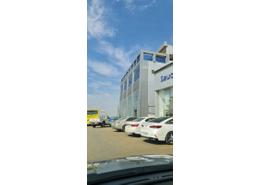 Bulk Units - 2 bathrooms for للايجار in Al Hamadaniyah - Jeddah - Makkah Al Mukarramah