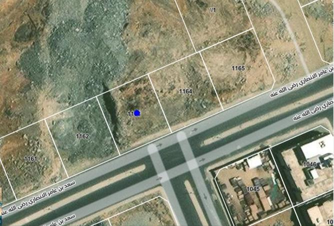 256069 - صورة العقار 3