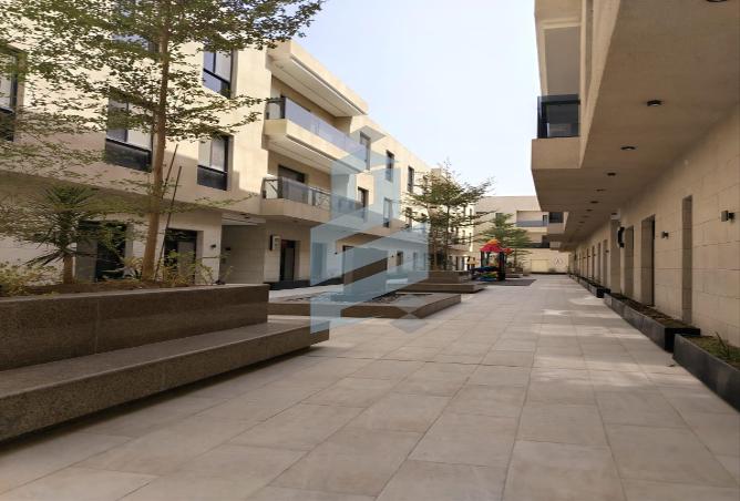 256061 - Property Image 3