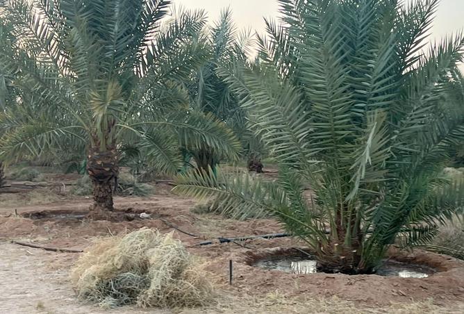 257598 - Property Image 3