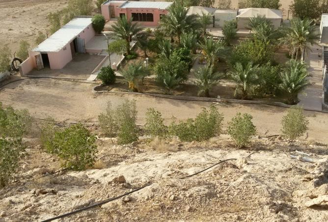 سوق عقار