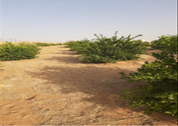 للبيع مزرعة في نساح .