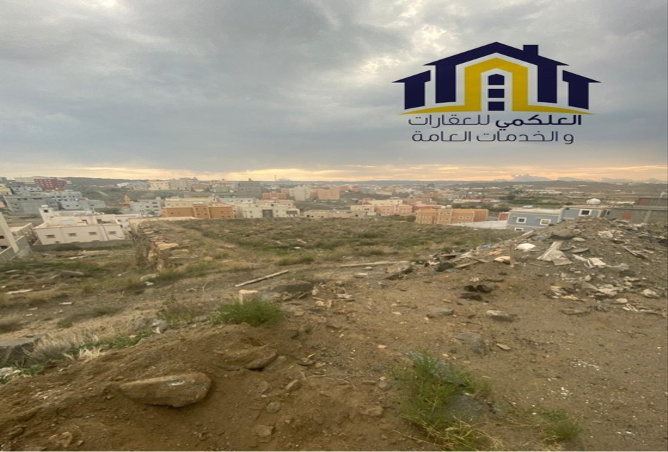 اراضي ومزارع للبيع في ابها