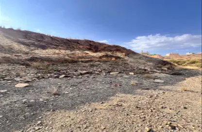 أرض - استوديو للبيع في الفيحاء - ال مرزوق - الباحة