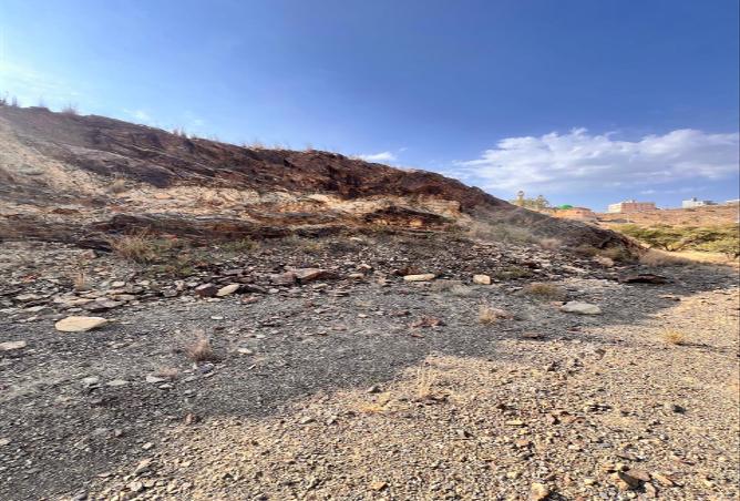 258365 - Property Main Image