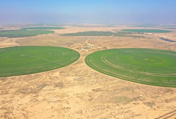 257590 - Property Image 2