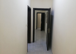 شقة - 2 غرف نوم - 3 حمامات for للايجار in النور - الدمام - الشرقية شقة - 2 غرف نوم - 3 حمامات for للايجار in النور - الدمام - الشرقية