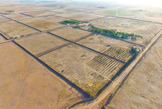 257810 - Property Image 3