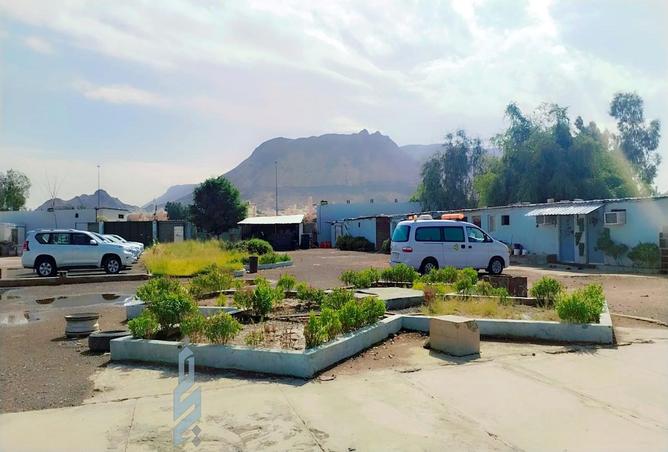 258824 - Property Image 3