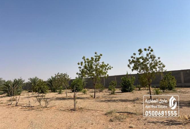 257611 - Property Image 2