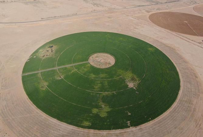 257618 - Property Image 3