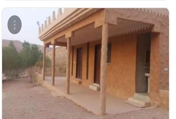 255425 - Property Image 3