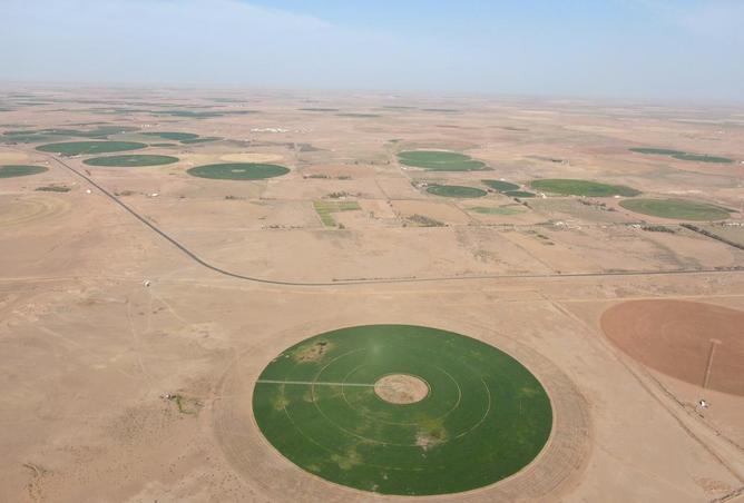 257618 - Property Image 2