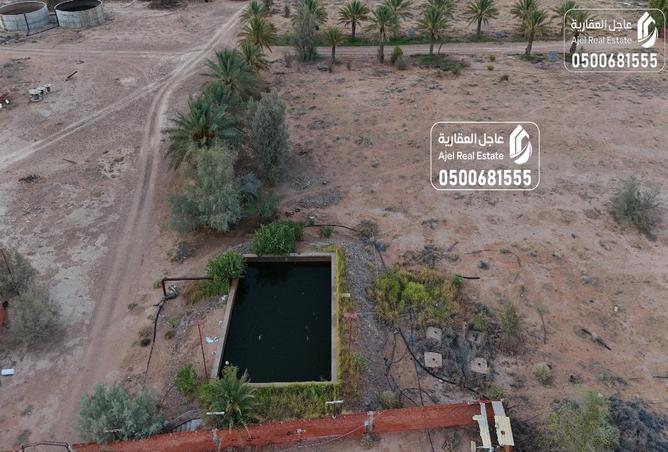 258120 - Property Image 3