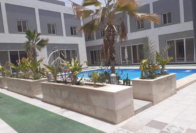 256602 - Property Image 3