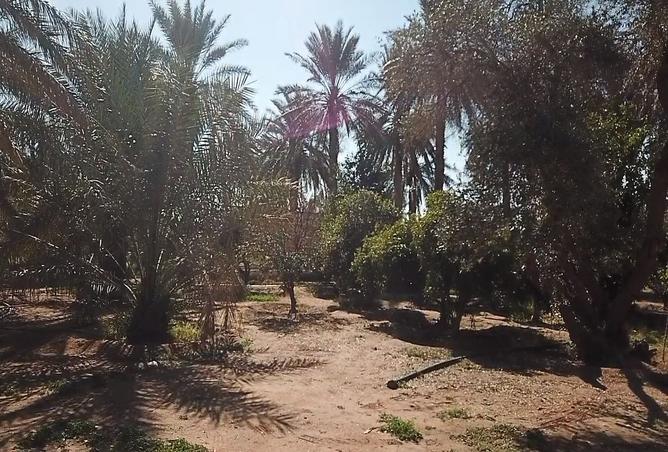 257570 - Property Image 2