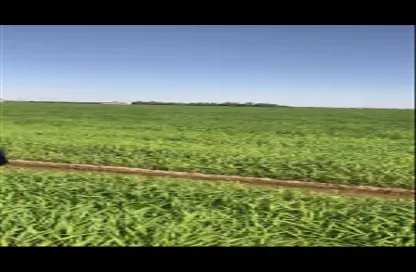 مزرعة - استوديو للبيع في حي ج15 - بقعاء - حائل