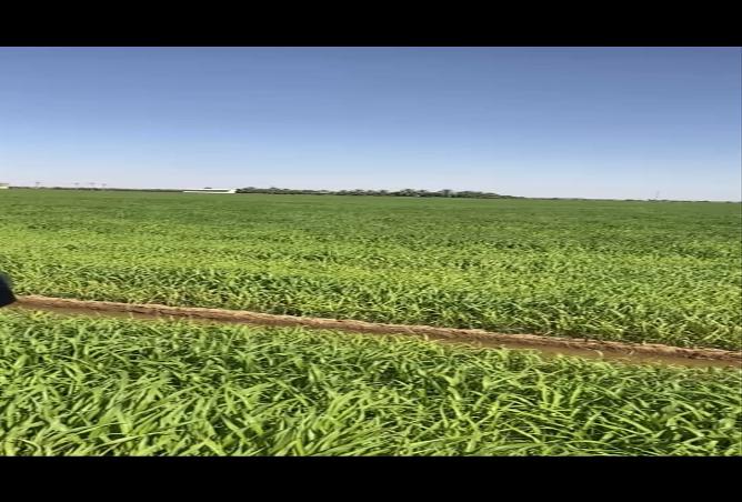 258507 - الصورة الرئيسية للعقار