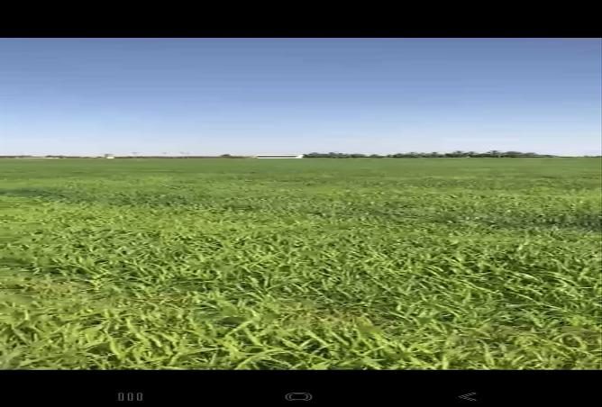 258507 - صورة العقار 3