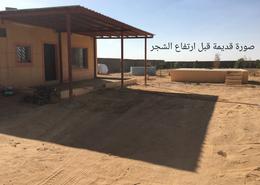 Rest House - 6 bedrooms - 2 bathrooms for للبيع in Al Ajfar - Hail