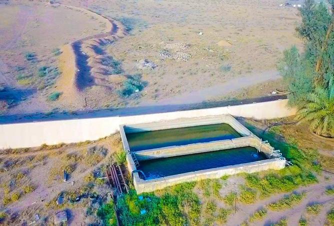 257623 - Property Image 3