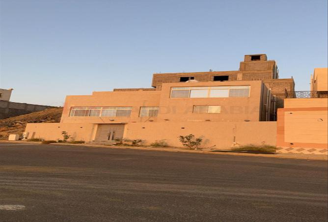 257286 - Property Image 3