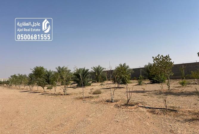 257611 - Property Image 3