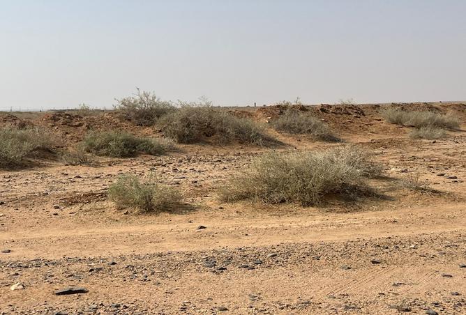 257589 - صورة العقار 3