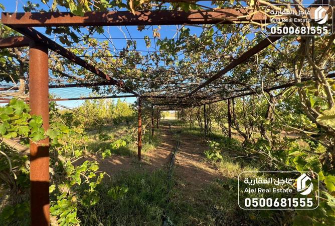 258121 - صورة العقار 2