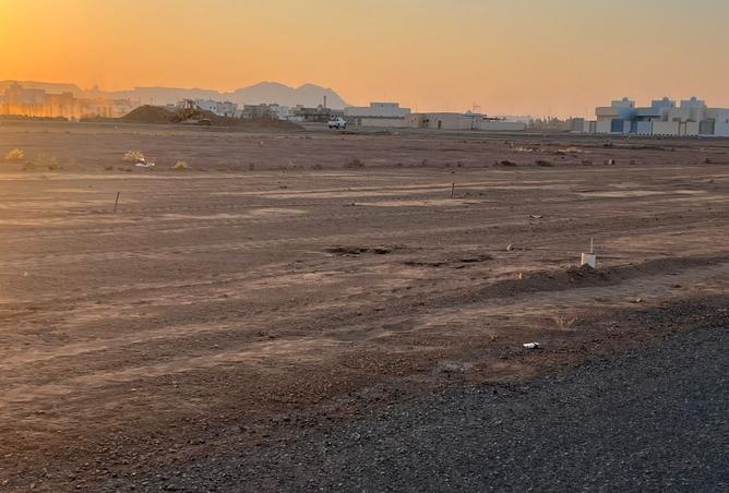 257576 - صورة العقار 3