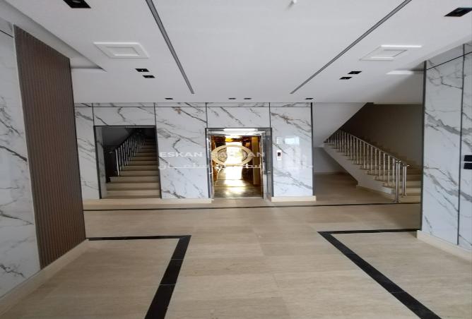 253209 - صورة العقار 3