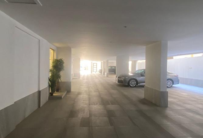 255137 - Property Image 3