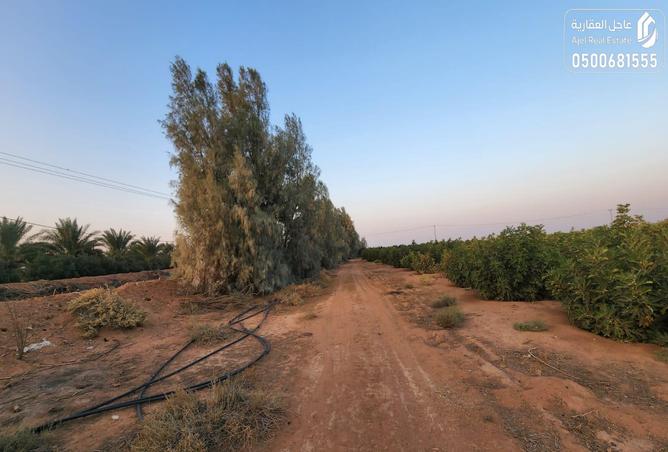 257744 - Property Image 3