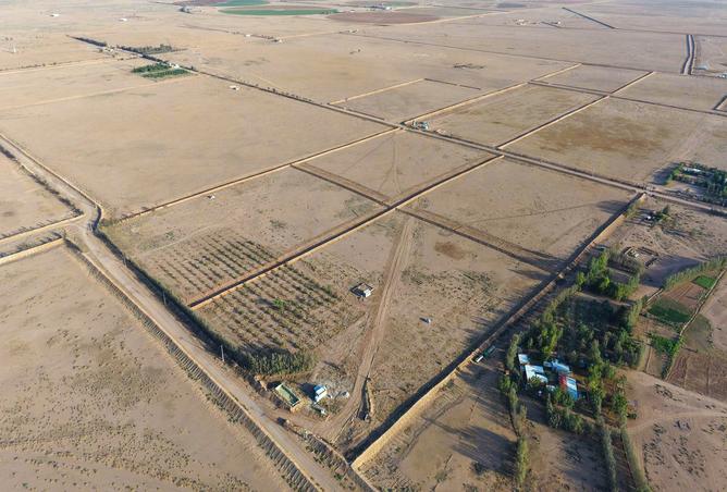 257599 - صورة العقار 2