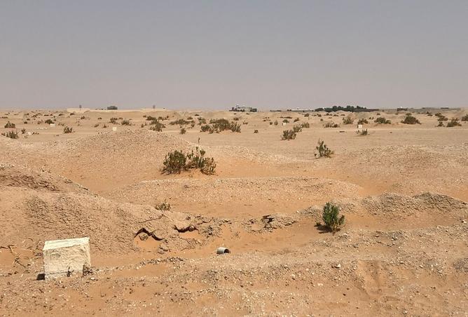 257572 - صورة العقار 3