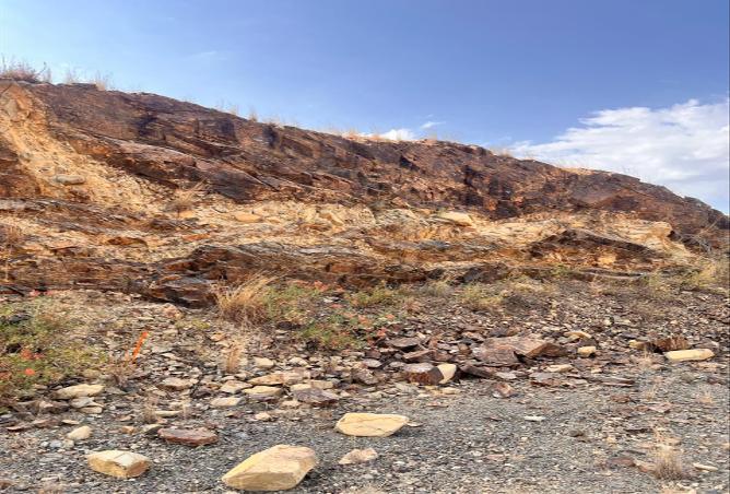 258365 - Property Image 2