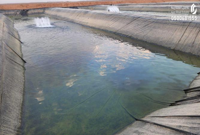 257941 - صورة العقار 2