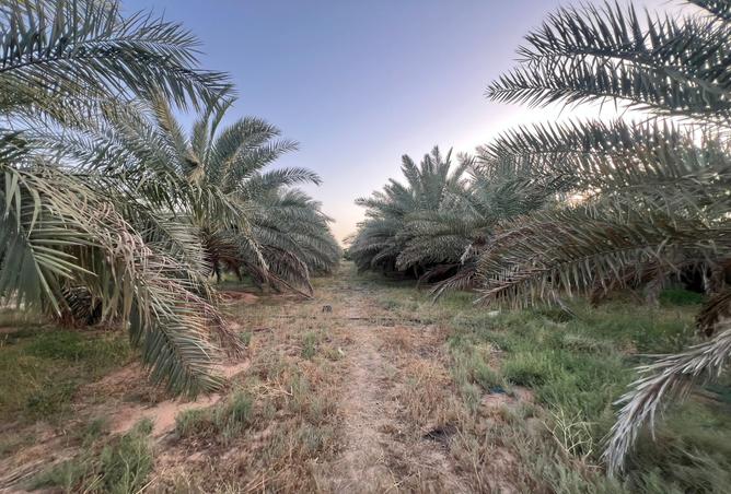 257636 - Property Image 3