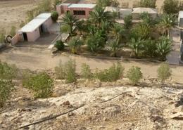 مزرعة - 3 غرف نوم - 2 حمامات for للبيع in العمارية - الرياض مزرعة - 3 غرف نوم - 2 حمامات for للبيع in العمارية - الرياض