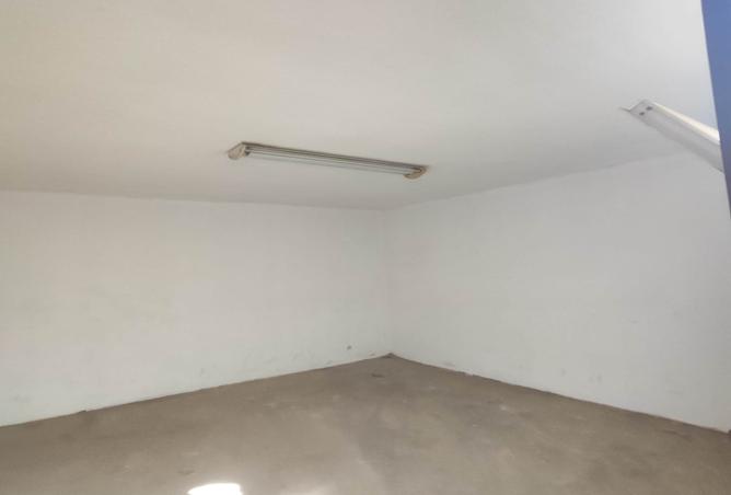 258216 - صورة العقار 3