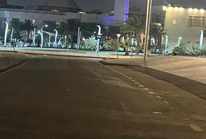 250631 - صورة العقار 3