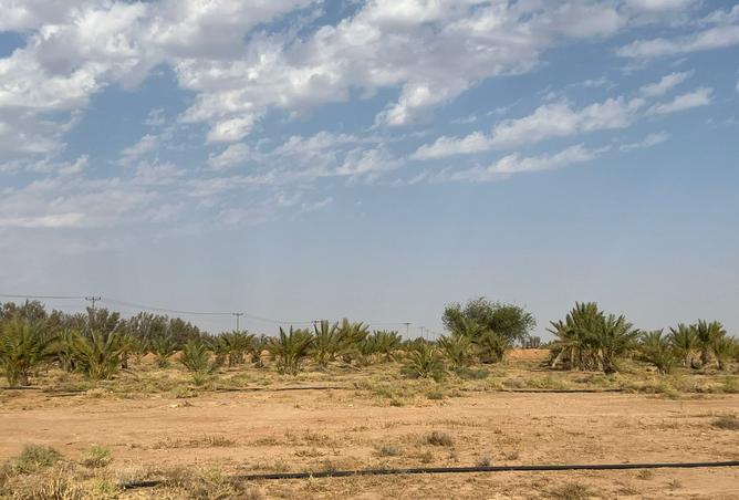 257599 - صورة العقار 3