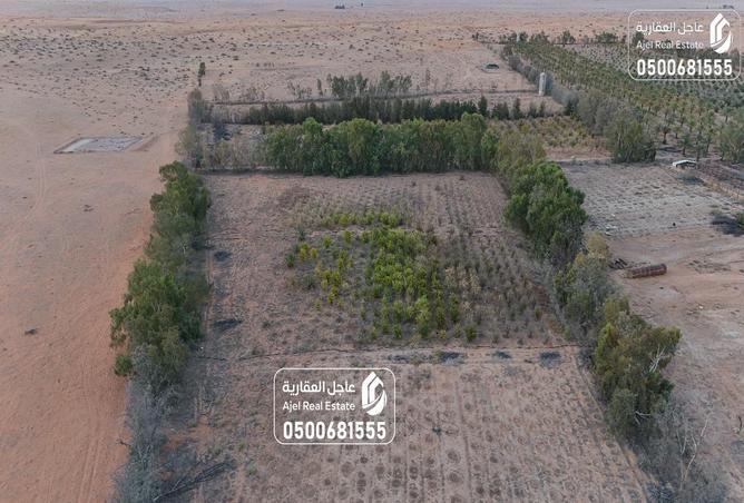 258120 - Property Image 2