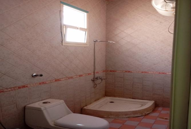 257262 - Property Image 2