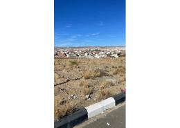 Land for للبيع in Al Arin - Asir