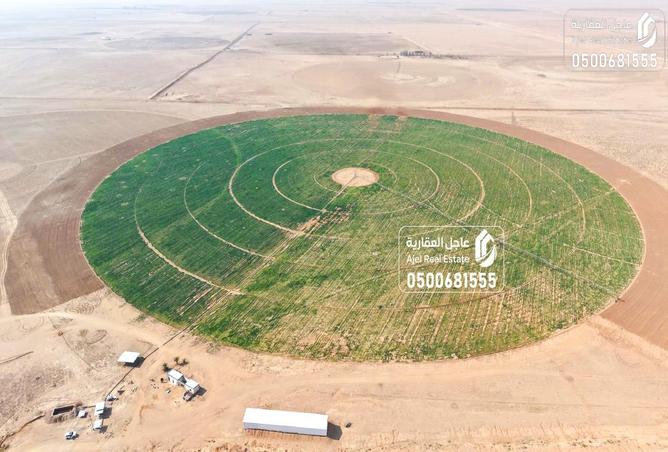 258119 - Property Image 3